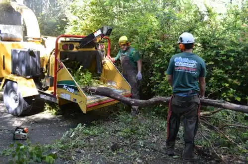 tree services Somerton